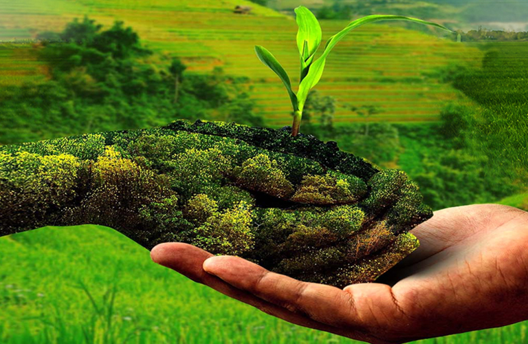 Storywhiz connecting Vihari Farms’ organic lifestyle to health-conscious consumers.
