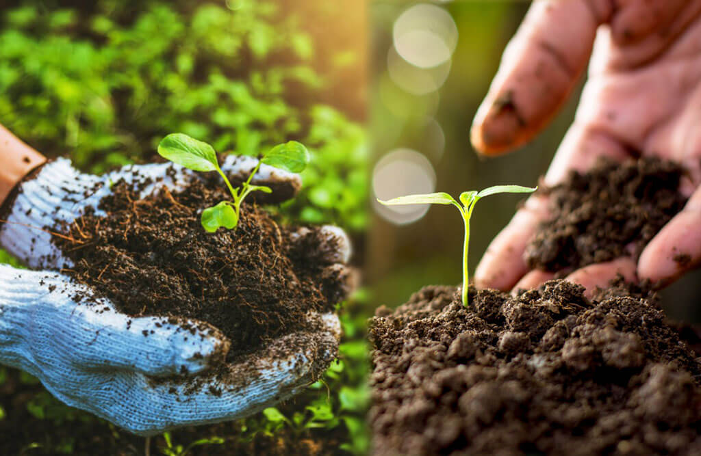 Storywhiz connecting Vihari Farms’ organic lifestyle to health-conscious consumers.